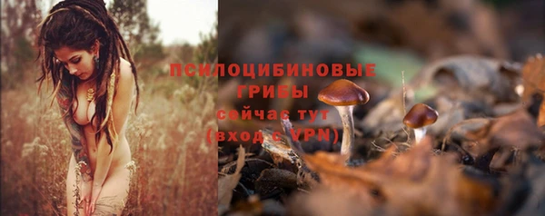 марки nbome Алзамай