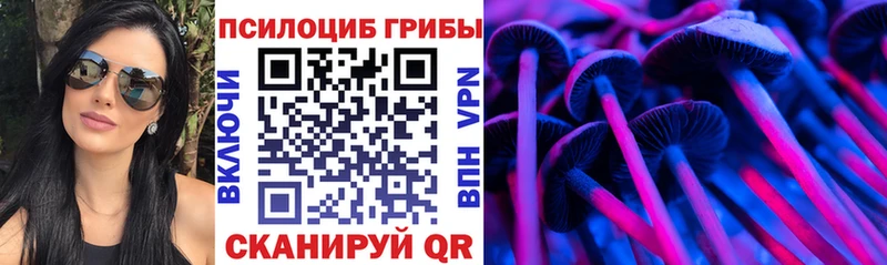 где можно купить   Красково  Псилоцибиновые грибы мухоморы 